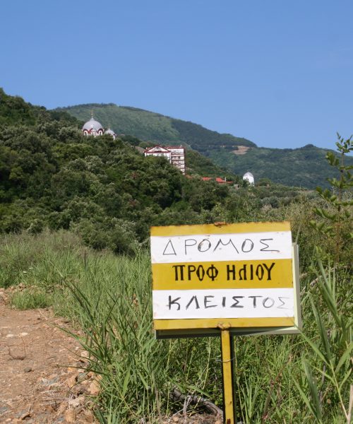 IMG_1356